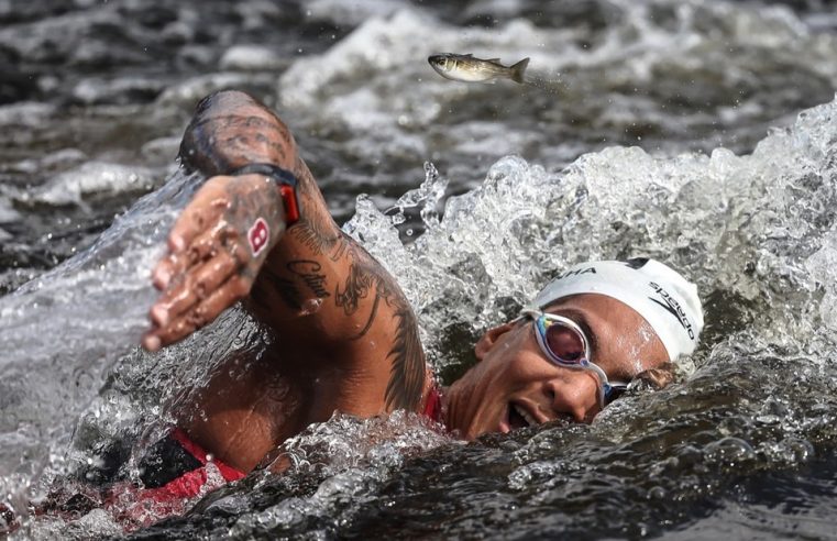 Peixe desviando da Ana Marcela pra não ser atropelado pelo ouro do Brasil
