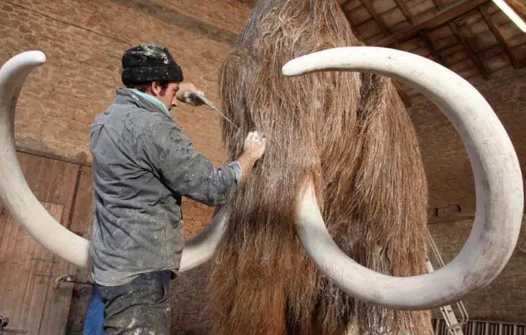 Engenharia genética, vai criar um híbrido de elefante-mamute Gamma-Rapho