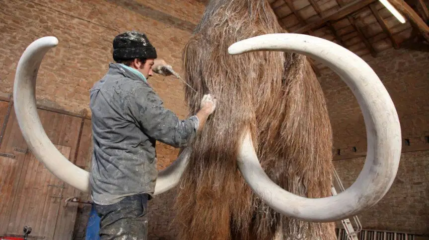 Engenharia genética, vai criar um híbrido de elefante-mamute Gamma-Rapho