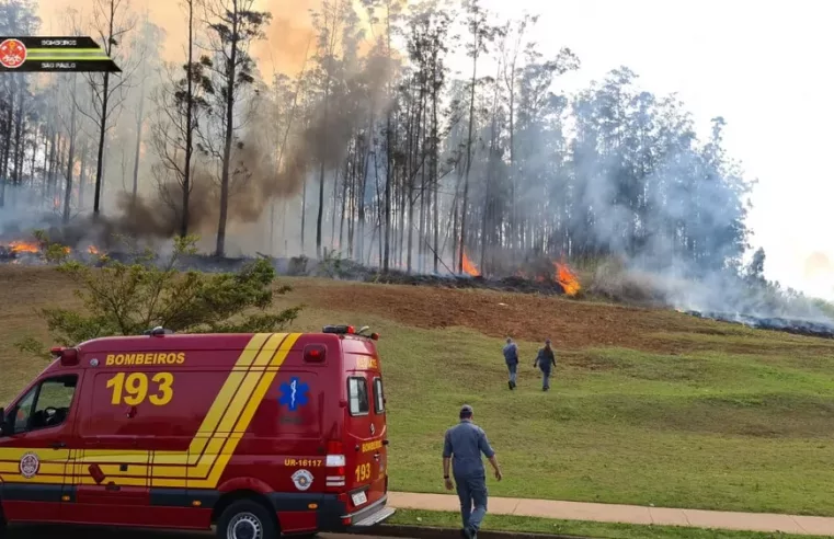 Avião cai no interior de São Paulo e sete pessoas morrem