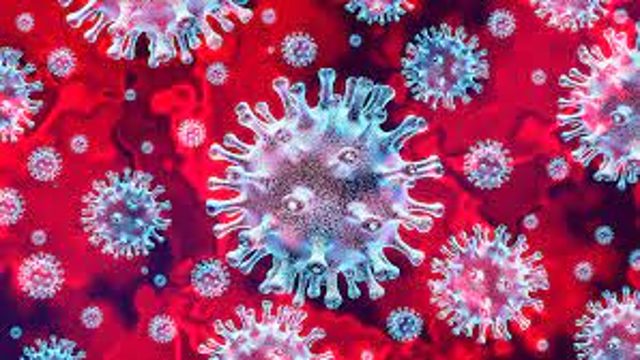 Estudo descobre infecções por covid-19 que combinam genes das variantes Delta e Ômicron