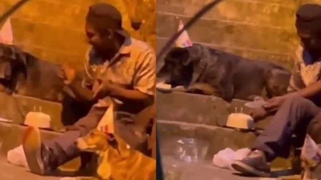 Morador de rua cantando parabéns com cachorros emociona