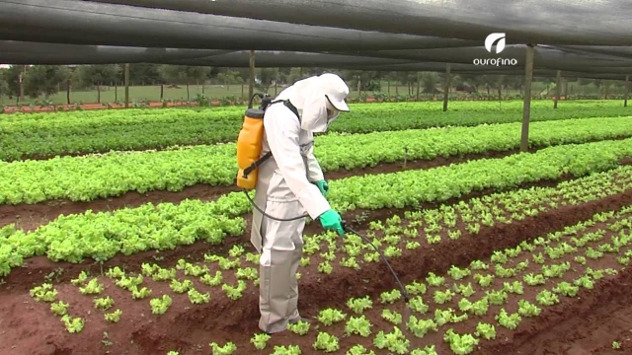 Novos defensivos agrícolas: o protagonismo do Ceará