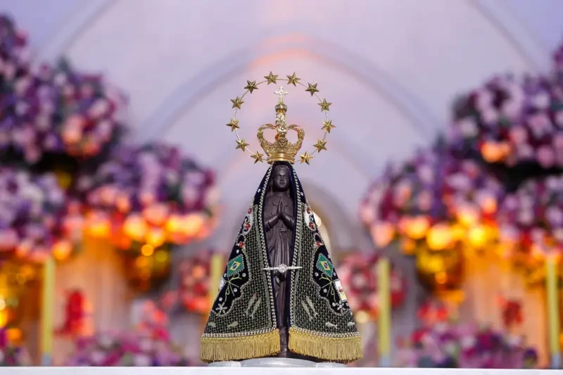 Nossa Senhora da Aparecida, abençoa Flavio Bosonaro.